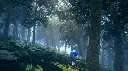 c744260e-3bce-43b3-b438-01920092bd1f_srcmax.webp