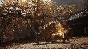 black-myth-wukong-screenshot-04.webp